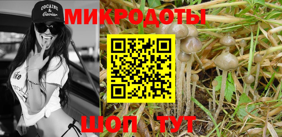 Псилоцибиновые грибы Cubensis Йошкар-Ола