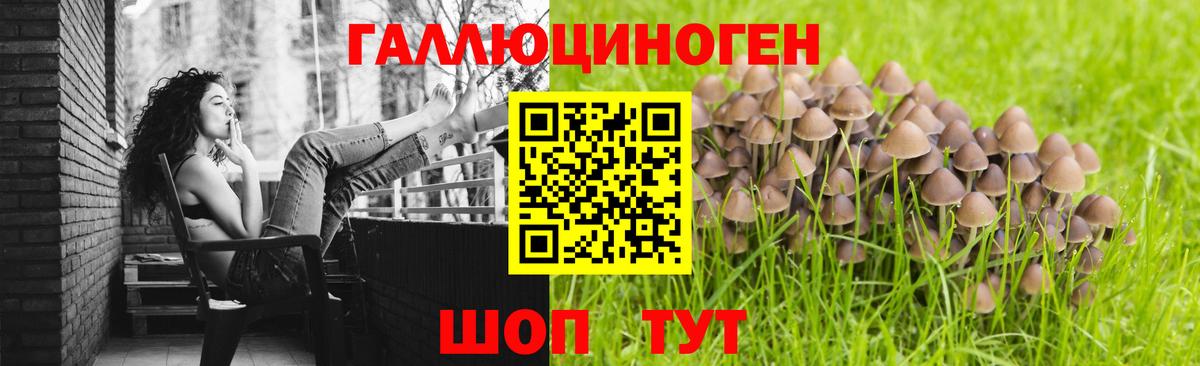 Йошкар-Ола  что такое наркотик  Псилоцибиновые грибы мухоморы  Вход с VPN  Псилоцибиновые грибы мицелий 